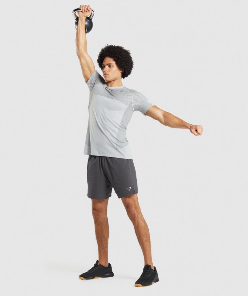 Men's Gymshark Apex Seamless T-Shirts Light Grey | CA 5870N3